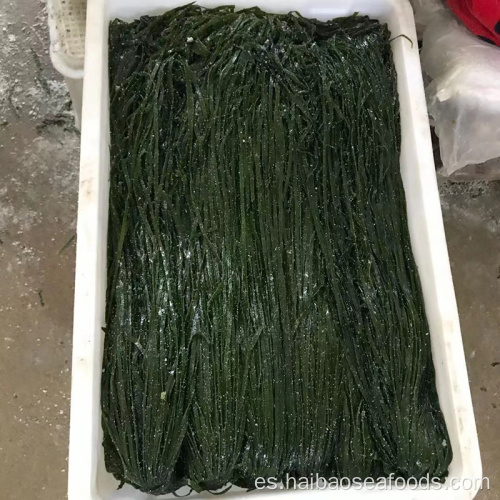 Corte de vástago salado congelado para ensalada de algas marinas